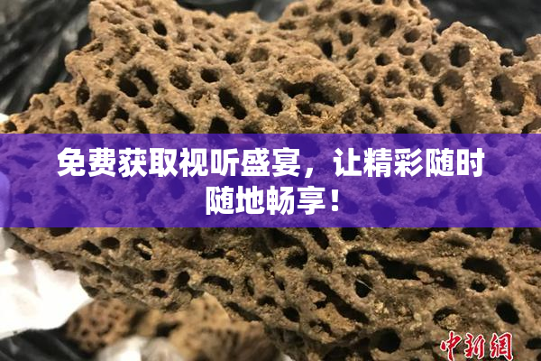 免费获取视听盛宴，让精彩随时随地畅享！