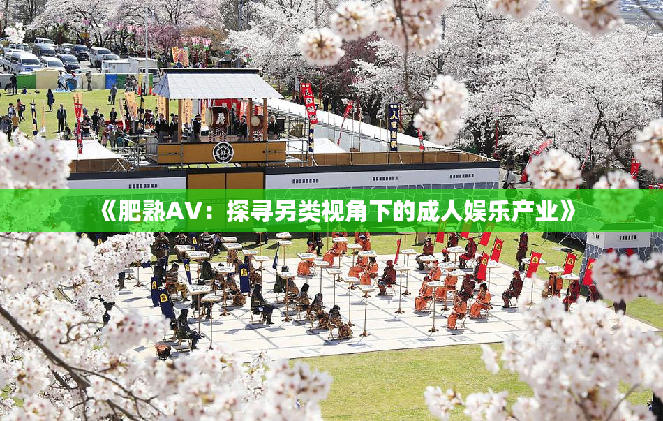 《肥熟AV：探寻另类视角下的成人娱乐产业》