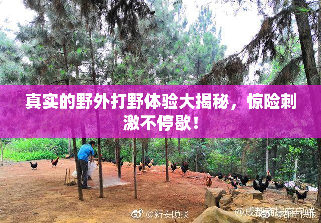 真实的野外打野体验大揭秘，惊险刺激不停歇！