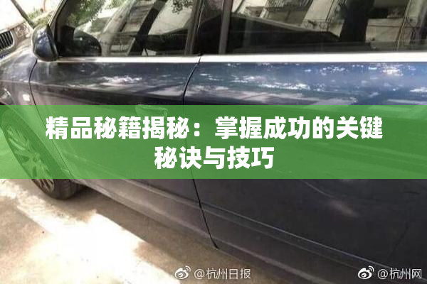 精品秘籍揭秘：掌握成功的关键秘诀与技巧