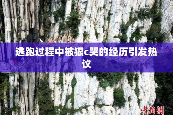 逃跑过程中被狠c哭的经历引发热议