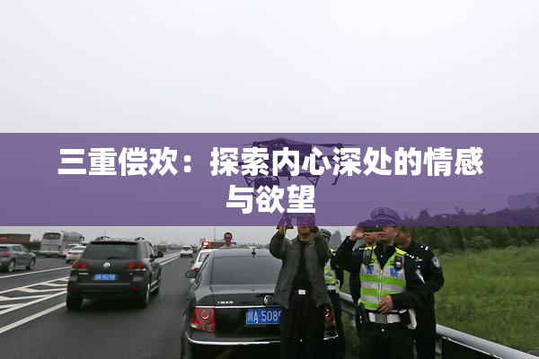 三重偿欢：探索内心深处的情感与欲望