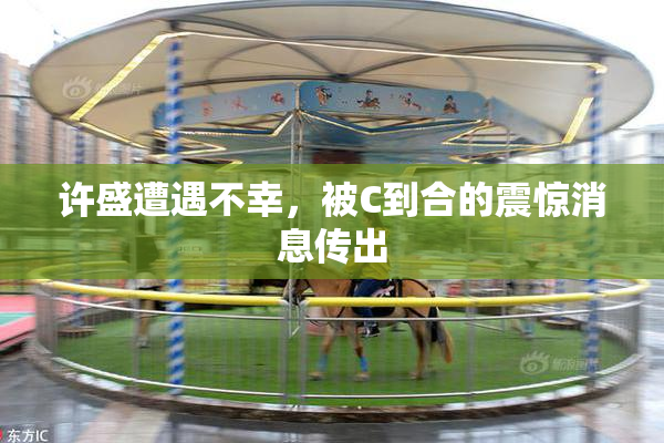 许盛遭遇不幸，被C到合的震惊消息传出