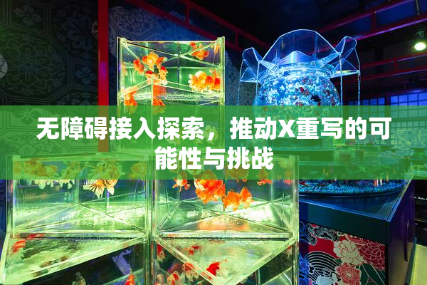 无障碍接入探索，推动X重写的可能性与挑战