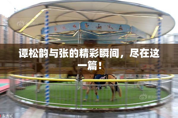 谭松韵与张的精彩瞬间，尽在这一篇！