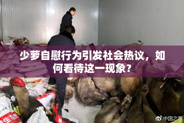 少萝自慰行为引发社会热议，如何看待这一现象？