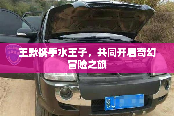 王默携手水王子，共同开启奇幻冒险之旅