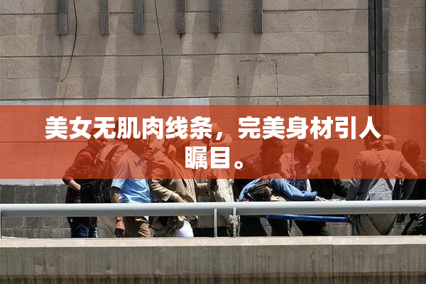 美女无肌肉线条，完美身材引人瞩目。