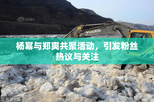 杨幂与郑爽共聚活动，引发粉丝热议与关注