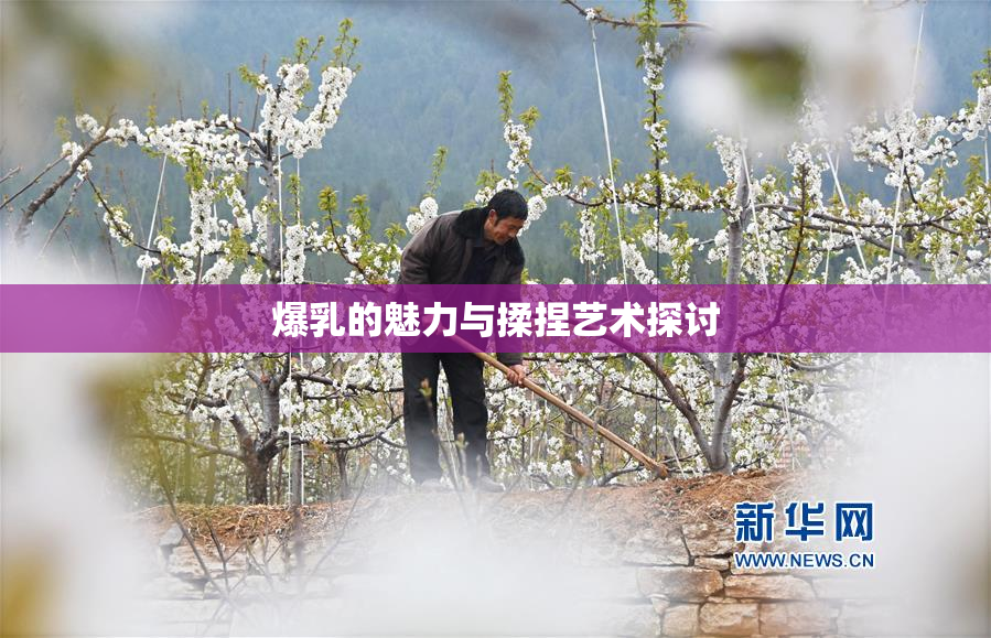 爆乳的魅力与揉捏艺术探讨