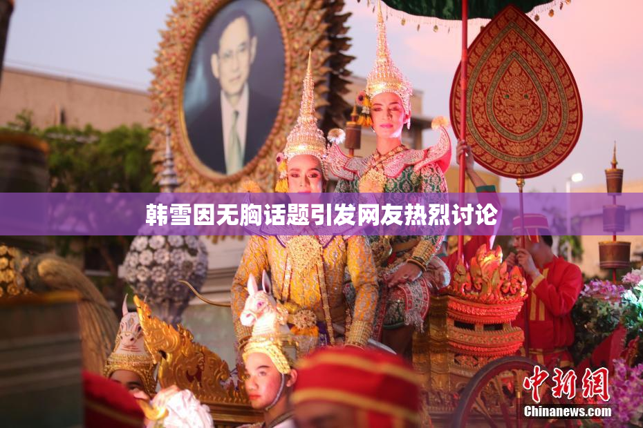 韩雪因无胸话题引发网友热烈讨论