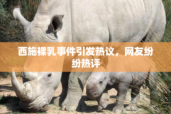 西施裸乳事件引发热议，网友纷纷热评