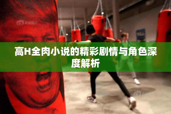 高H全肉小说的精彩剧情与角色深度解析