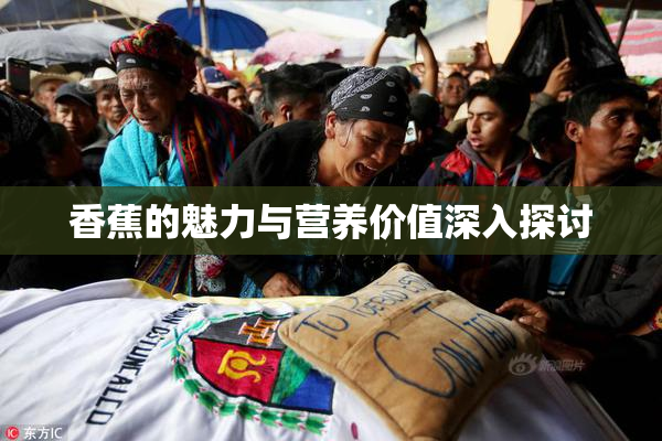 香蕉的魅力与营养价值深入探讨