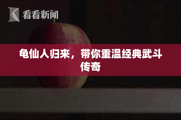 龟仙人归来，带你重温经典武斗传奇