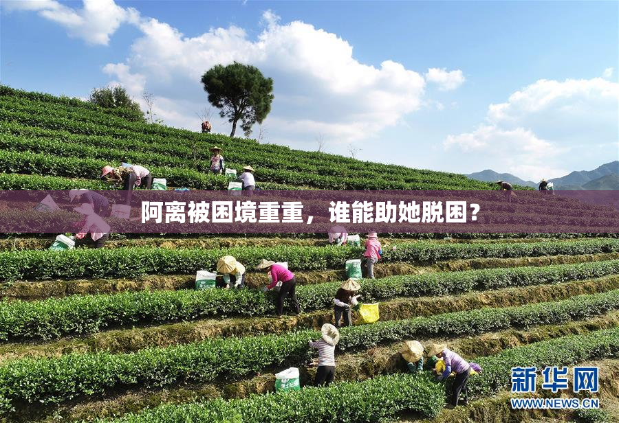 阿离被困境重重，谁能助她脱困？
