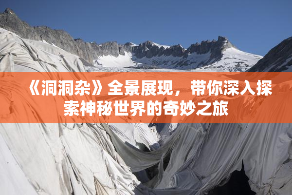 《洞洞杂》全景展现，带你深入探索神秘世界的奇妙之旅