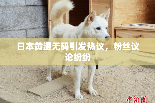 日本黄漫无码引发热议，粉丝议论纷纷