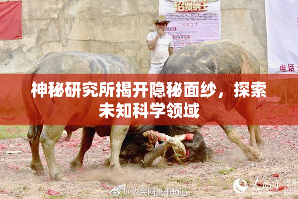 神秘研究所揭开隐秘面纱，探索未知科学领域