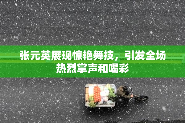 张元英展现惊艳舞技，引发全场热烈掌声和喝彩