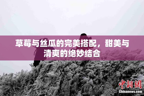 草莓与丝瓜的完美搭配，甜美与清爽的绝妙结合