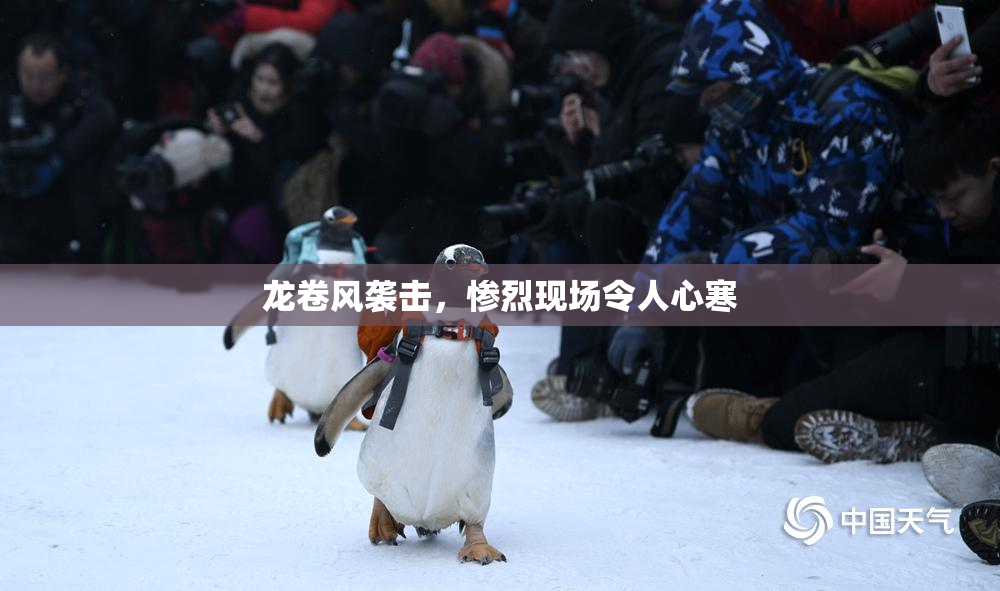 龙卷风袭击，惨烈现场令人心寒