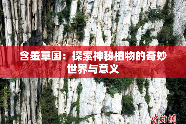 含羞草国：探索神秘植物的奇妙世界与意义