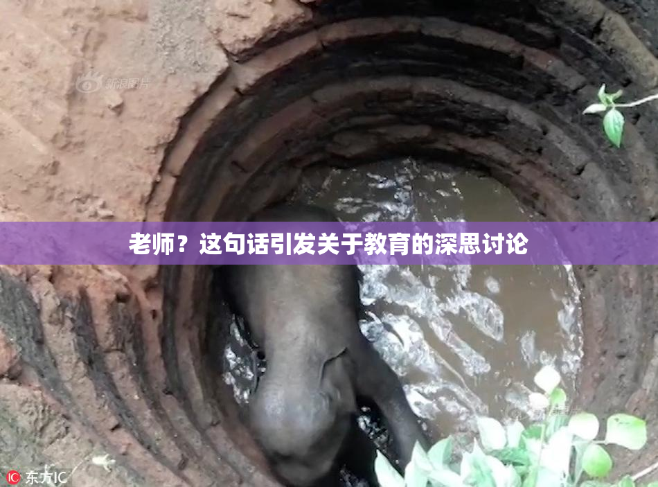 老师？这句话引发关于教育的深思讨论