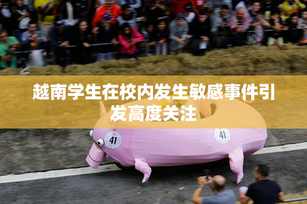 越南学生在校内发生敏感事件引发高度关注