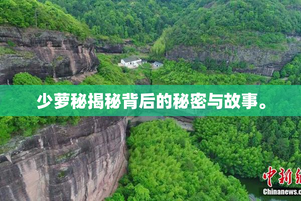 少萝秘揭秘背后的秘密与故事。