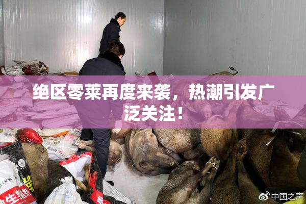 绝区零莱再度来袭，热潮引发广泛关注！