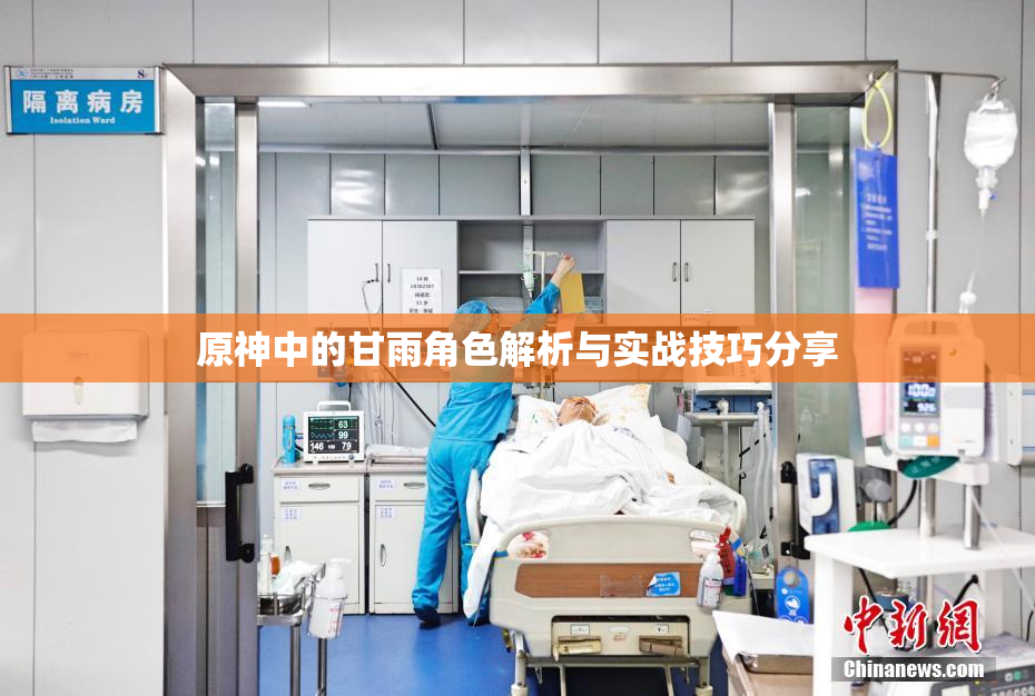 原神中的甘雨角色解析与实战技巧分享