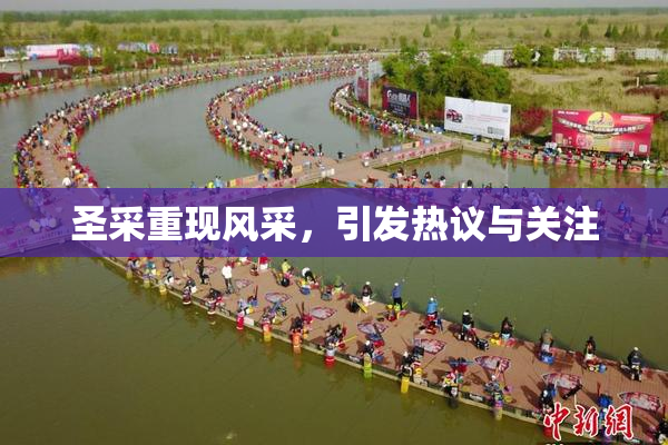 圣采重现风采，引发热议与关注