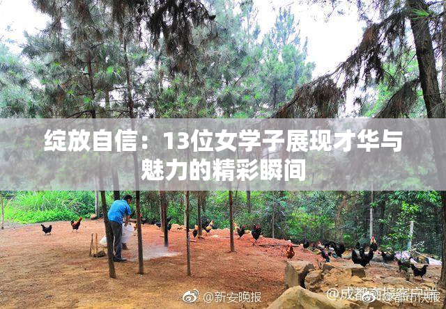 绽放自信：13位女学子展现才华与魅力的精彩瞬间
