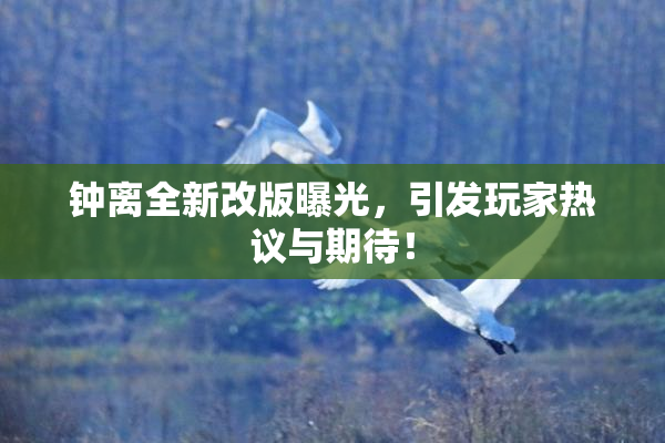 钟离全新改版曝光，引发玩家热议与期待！