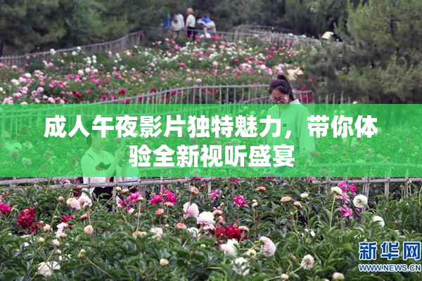 成人午夜影片独特魅力，带你体验全新视听盛宴