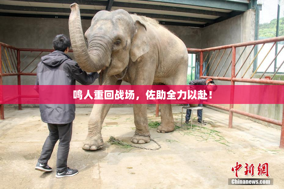 鸣人重回战场，佐助全力以赴！