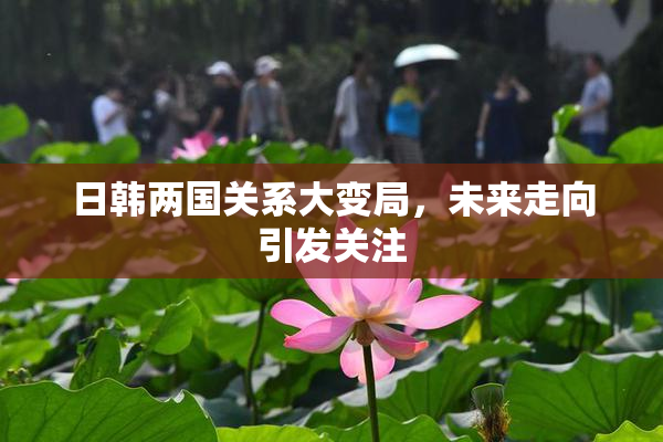日韩两国关系大变局，未来走向引发关注