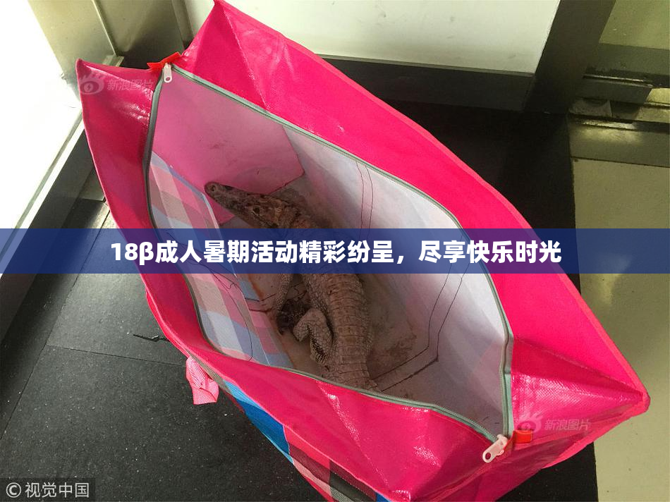 18β成人暑期活动精彩纷呈，尽享快乐时光
