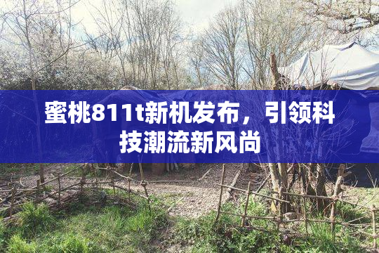 蜜桃811t新机发布，引领科技潮流新风尚
