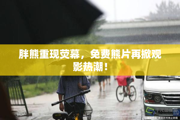 胖熊重现荧幕，免费熊片再掀观影热潮！