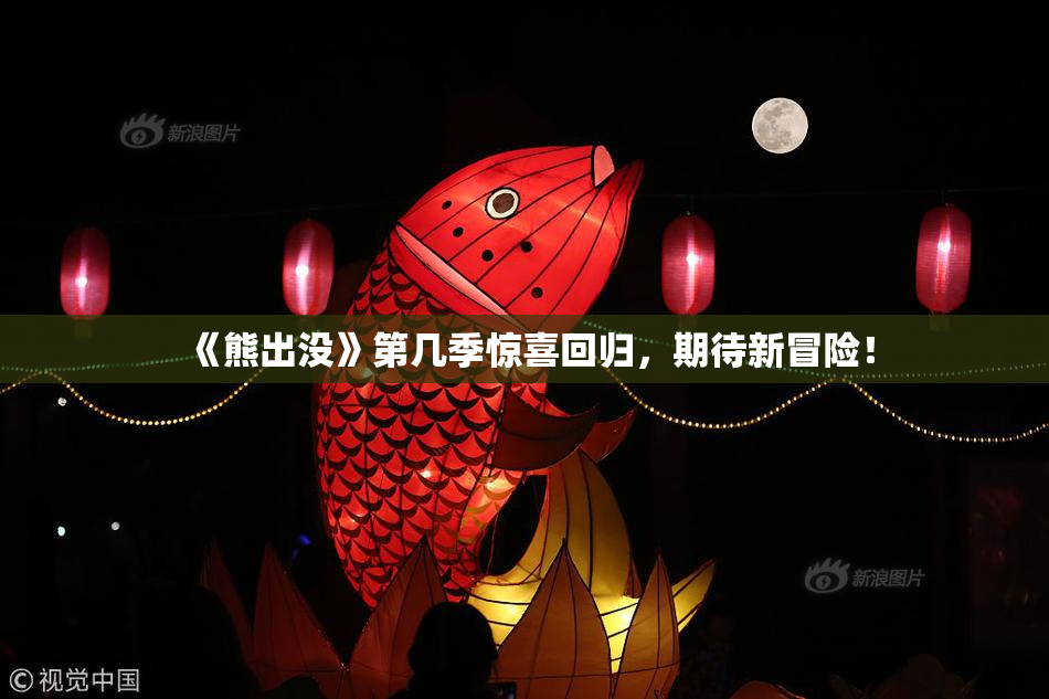 《熊出没》第几季惊喜回归，期待新冒险！