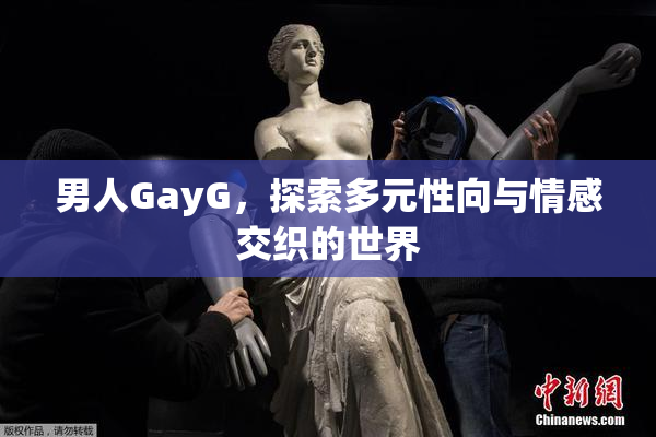 男人GayG，探索多元性向与情感交织的世界