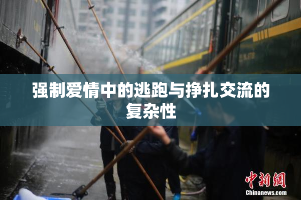 强制爱情中的逃跑与挣扎交流的复杂性