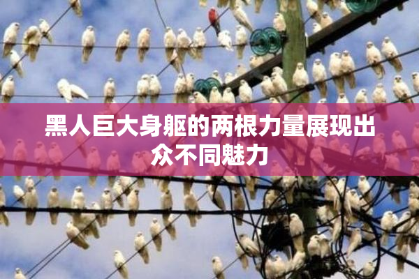 黑人巨大身躯的两根力量展现出众不同魅力
