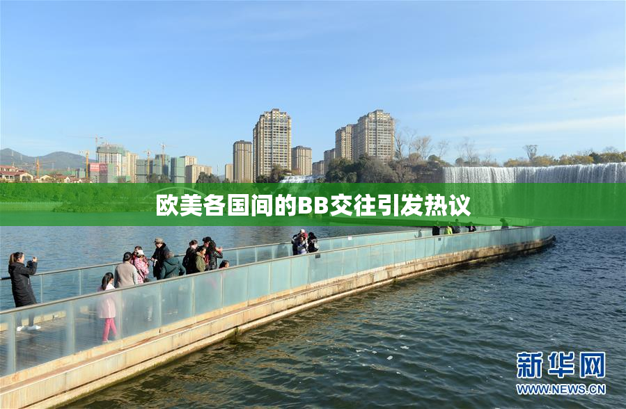 欧美各国间的BB交往引发热议