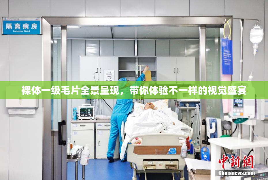 裸体一级毛片全景呈现，带你体验不一样的视觉盛宴