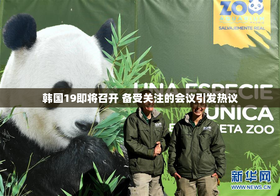 韩国19即将召开 备受关注的会议引发热议