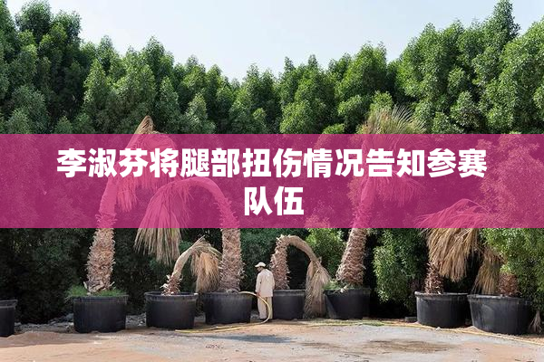 李淑芬将腿部扭伤情况告知参赛队伍