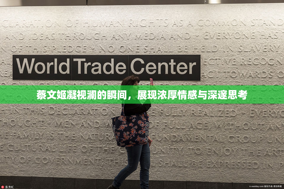 蔡文姬凝视澜的瞬间，展现浓厚情感与深邃思考